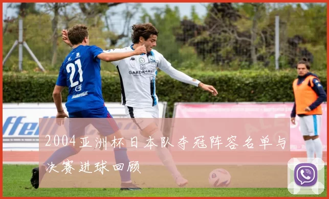 2004亚洲杯日本队夺冠阵容名单与决赛进球回顾