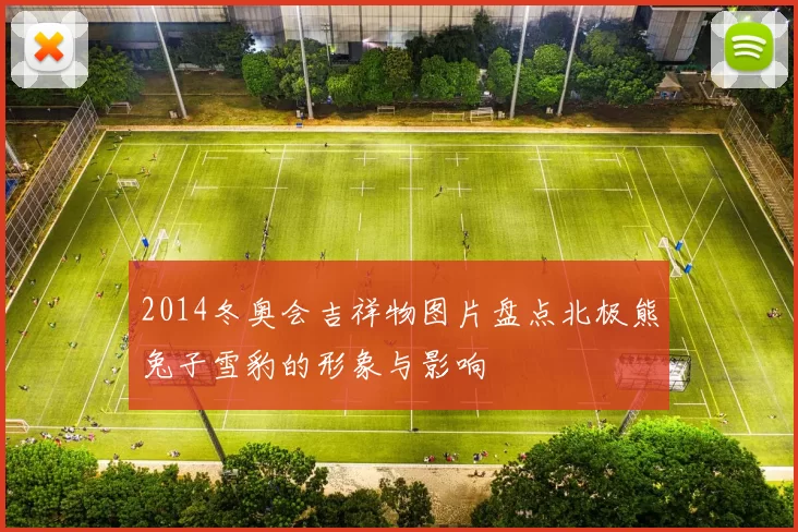 2014冬奥会吉祥物图片盘点北极熊兔子雪豹的形象与影响