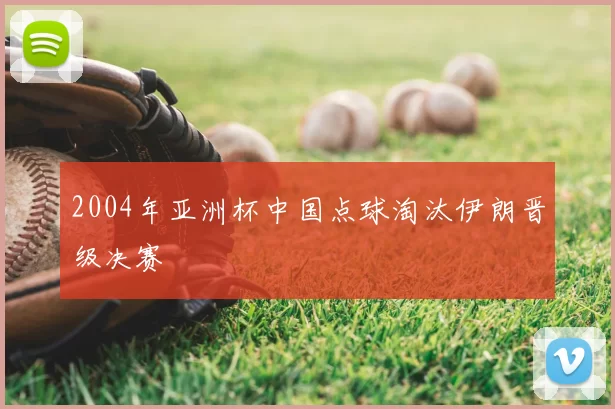 2004年亚洲杯中国点球淘汰伊朗晋级决赛