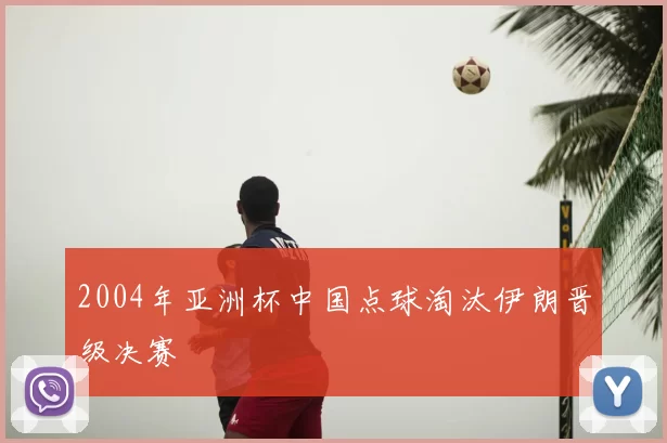 2004年亚洲杯中国点球淘汰伊朗晋级决赛