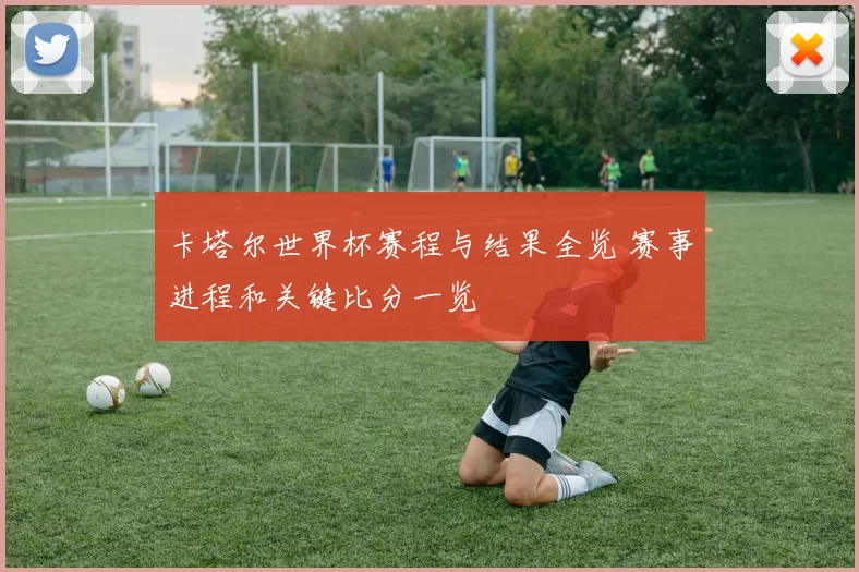 卡塔尔世界杯赛程与结果全览 赛事进程和关键比分一览