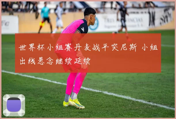 世界杯小组赛丹麦战平突尼斯 小组出线悬念继续延续