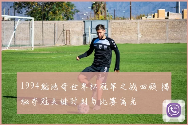 1994魁地奇世界杯冠军之战回顾 揭秘夺冠关键时刻与比赛高光