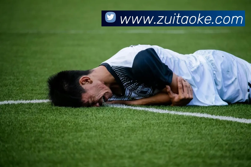 世界杯直播观看入口服务体系