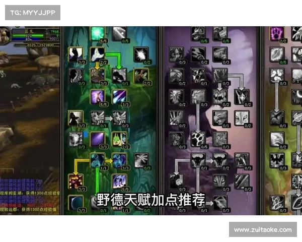 魔兽世界怀旧服新手练级攻略 魔兽世界怀旧服新手练级攻略